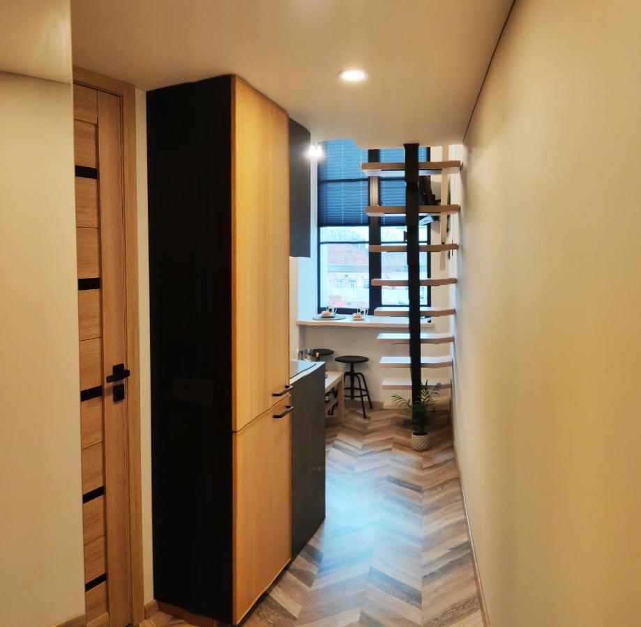 Lägenhet Lagom Loft Vilnius